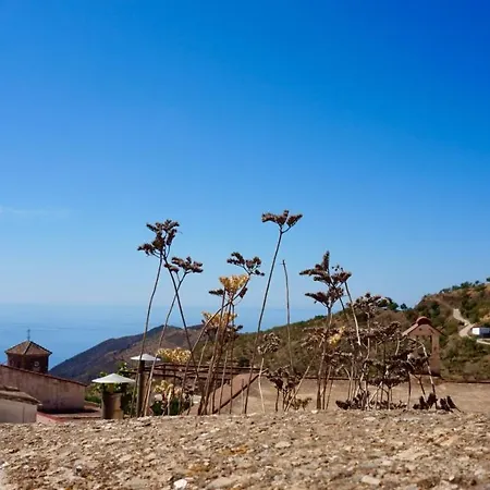 Casa Amigos - La Almendra